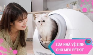 Sửa Nhà Vệ Sinh Cho Mèo Petkit Tại 3D House